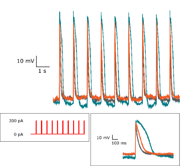 Current clamp on Qube 384 combining voltage and current clamp in same