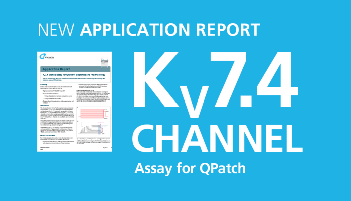 Kv7.4に関する新しいアプリケーションレポート – 聴覚、高血圧、神経細胞の調和を支えるイオンチャネルの巨匠