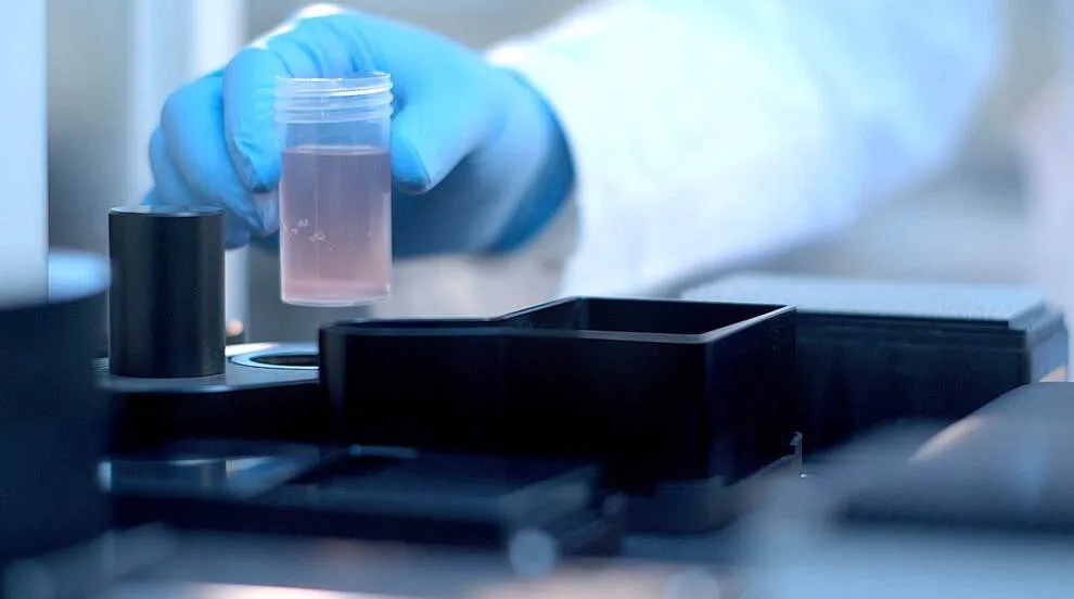 flexible-article-template4